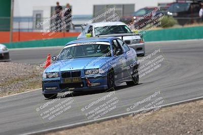 media/May-03-2025-Lucky Dog Racing (Sat) [[206de64b9d]]/Turn 4 B (1150am-130pm)/